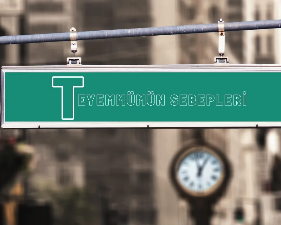 Teyemmumun-Sebepleri Teyemmumun Sebepleri