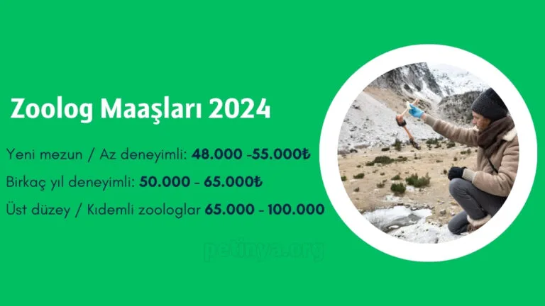 zoolog maasi